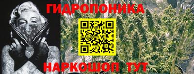 наркотики Заводоуковск