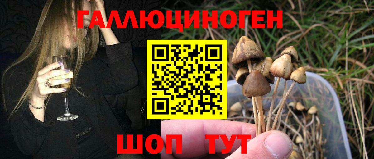 Псилоцибиновые грибы Cubensis  Вход с VPN  Красноармейск 